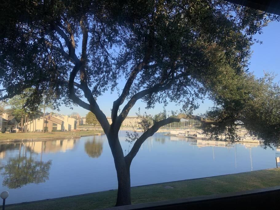Lakeside Daze! 蒙哥马利 外观 照片