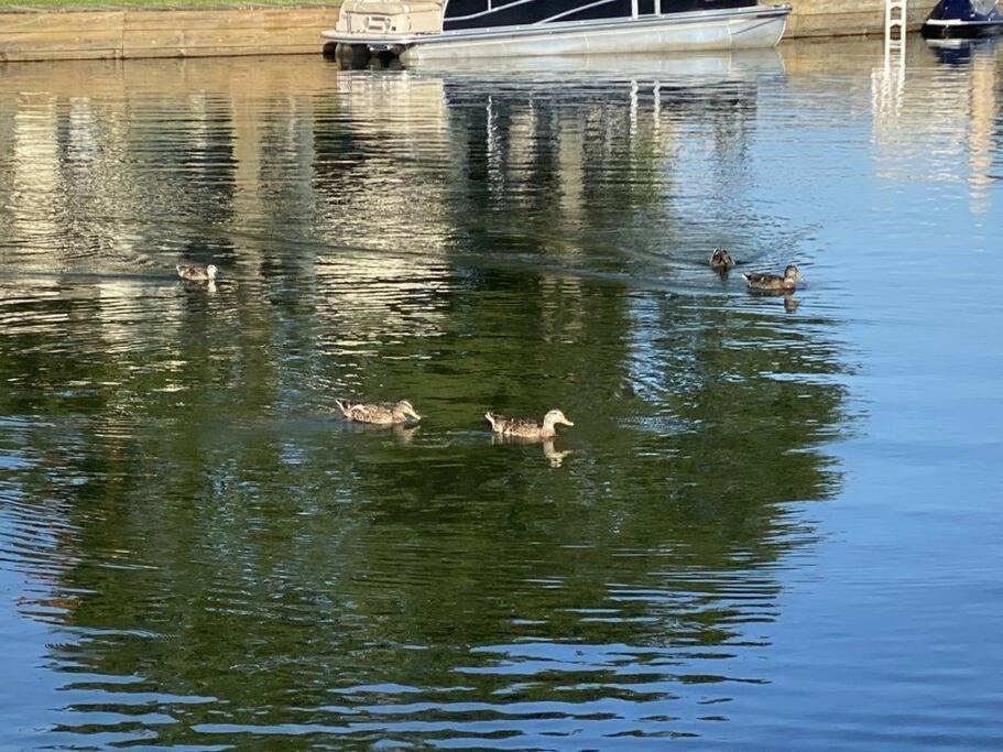 Lakeside Daze! 蒙哥马利 外观 照片