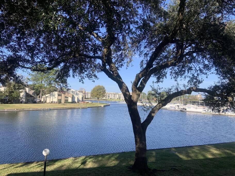 Lakeside Daze! 蒙哥马利 外观 照片